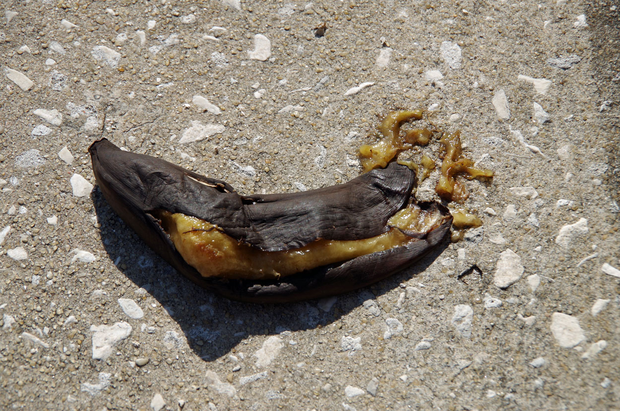 Old_banana
