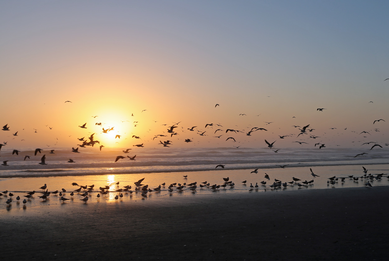 Sunrise_03_2026