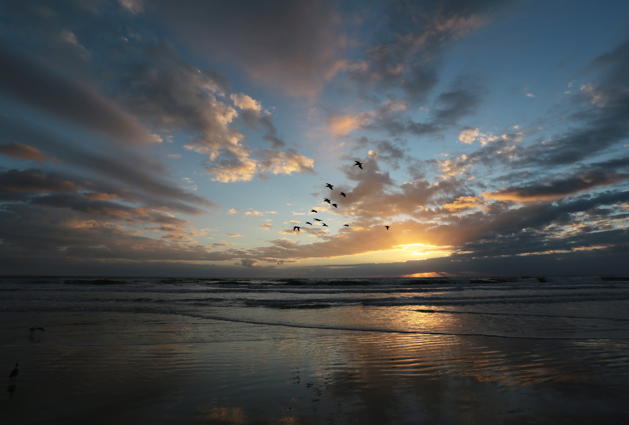 DB_beach_1