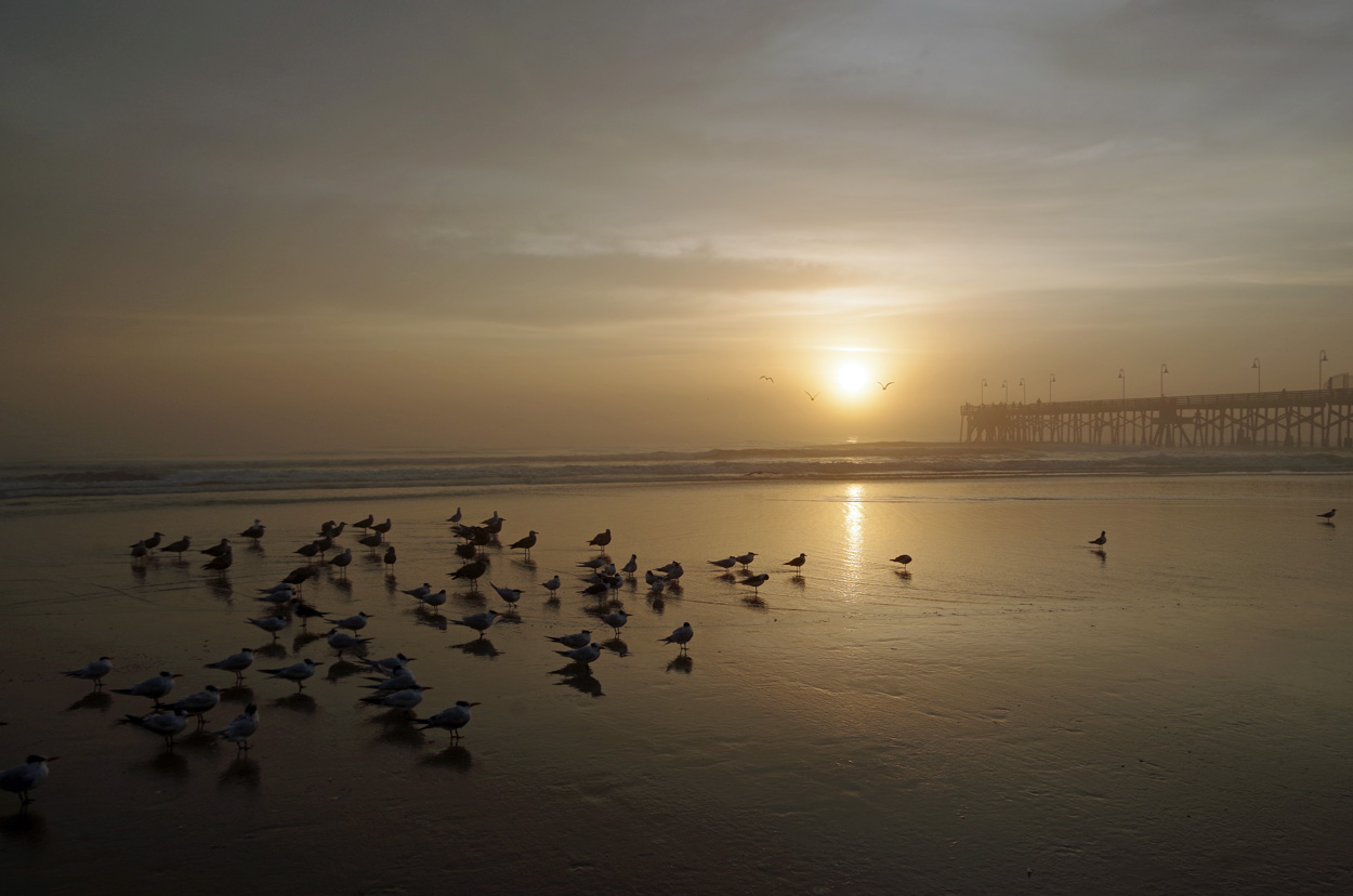 Foggy_Sunrise